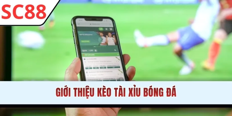 Giới thiệu kèo Tài Xỉu bóng đá